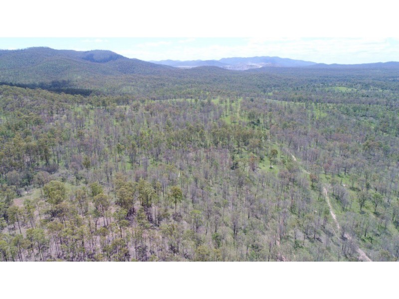 Mingo QLD 4625