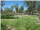 Mingo QLD 4625