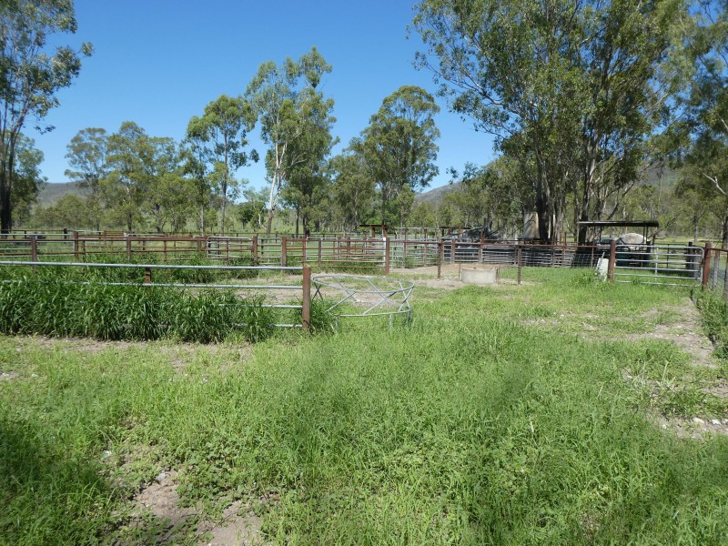 Mingo QLD 4625