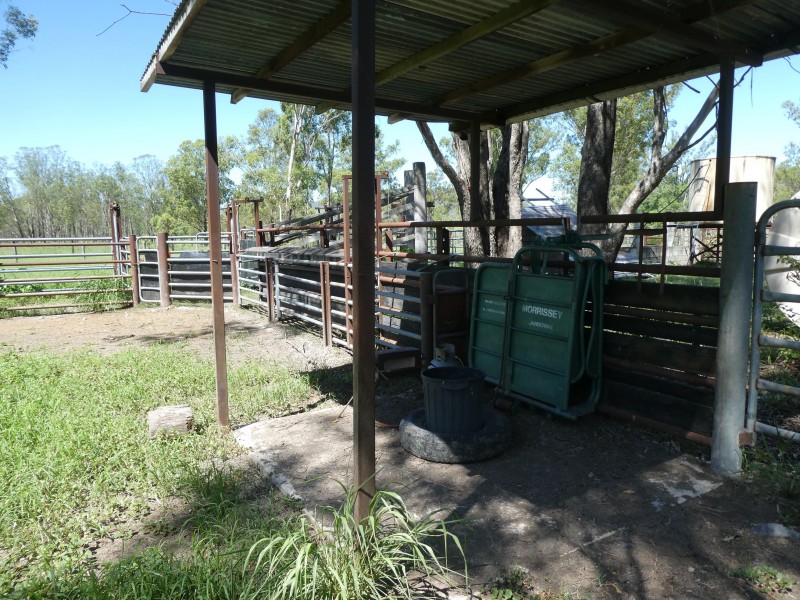Mingo QLD 4625