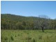 Mingo QLD 4625