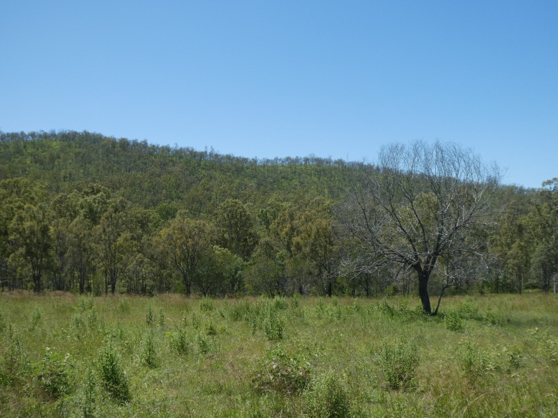 Mingo QLD 4625