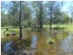 Mingo QLD 4625