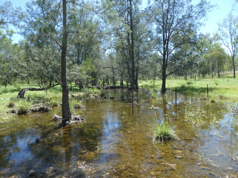 Mingo QLD 4625