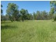 Mingo QLD 4625