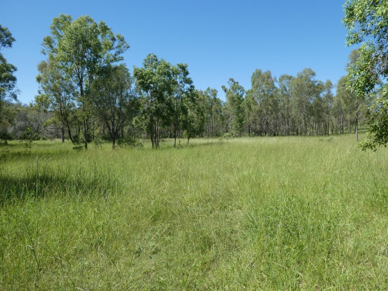 Mingo QLD 4625