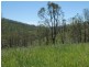 Mingo QLD 4625