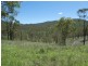 Mingo QLD 4625