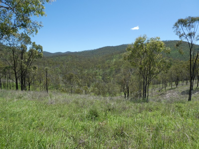 Mingo QLD 4625