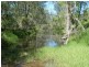 Mingo QLD 4625
