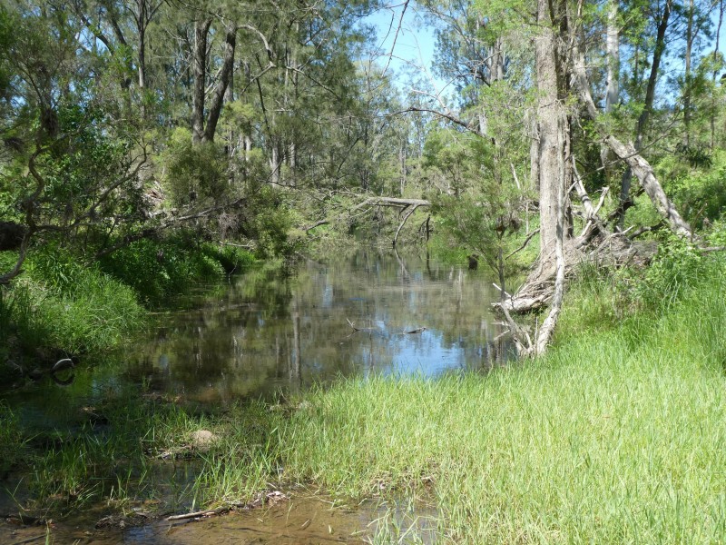 Mingo QLD 4625