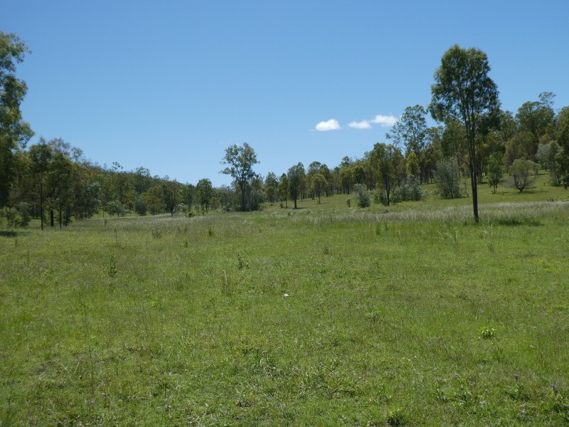 Mingo QLD 4625