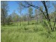 Mingo QLD 4625