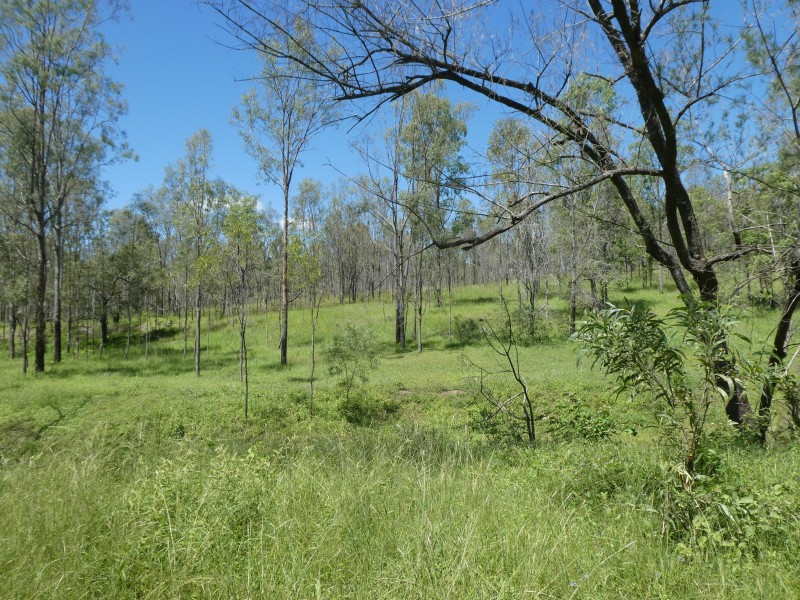 Mingo QLD 4625