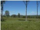 Mingo QLD 4625