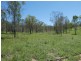 Mingo QLD 4625