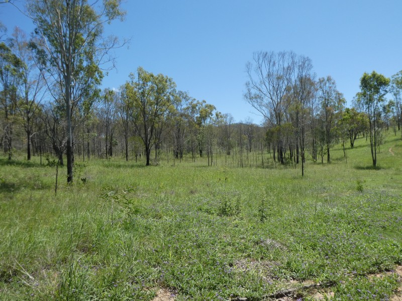 Mingo QLD 4625
