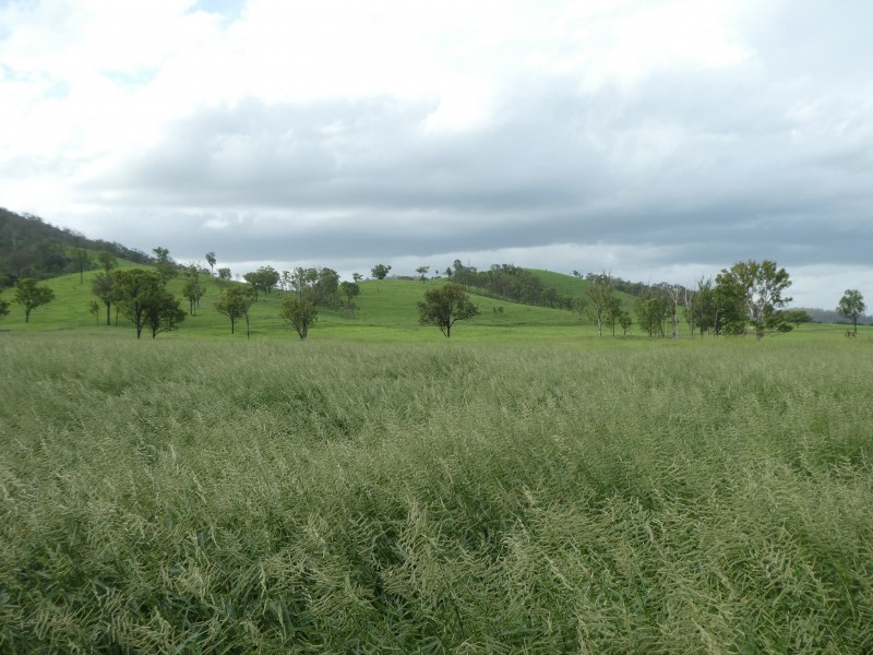 Biggenden QLD 4621