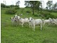 Biggenden QLD 4621