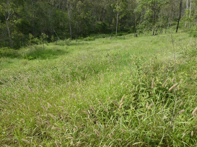 Biggenden QLD 4621