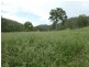Biggenden QLD 4621