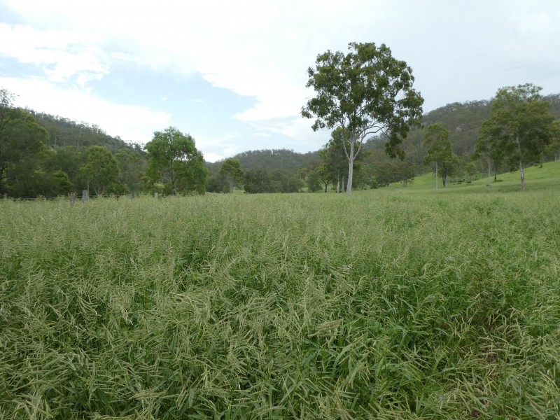Biggenden QLD 4621