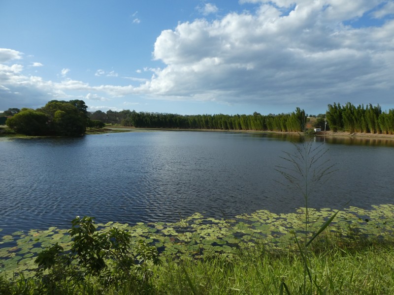 28291 BRUCE HIGHWAY, South Isis QLD 4660