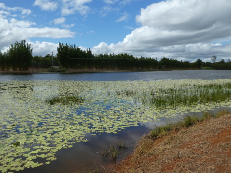 28291 BRUCE HIGHWAY, South Isis QLD 4660