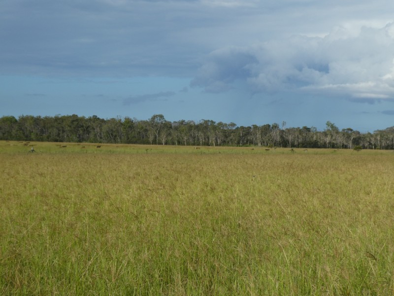 28291 BRUCE HIGHWAY, South Isis QLD 4660