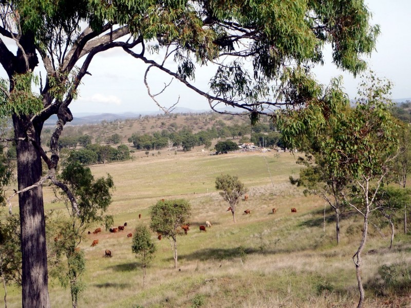 325 CHRISTENSENS ROAD, Gooroolba QLD 4625