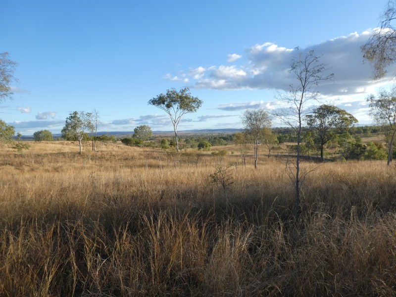325 CHRISTENSENS ROAD, Gooroolba QLD 4625