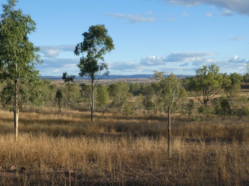 325 CHRISTENSENS ROAD, Gooroolba QLD 4625