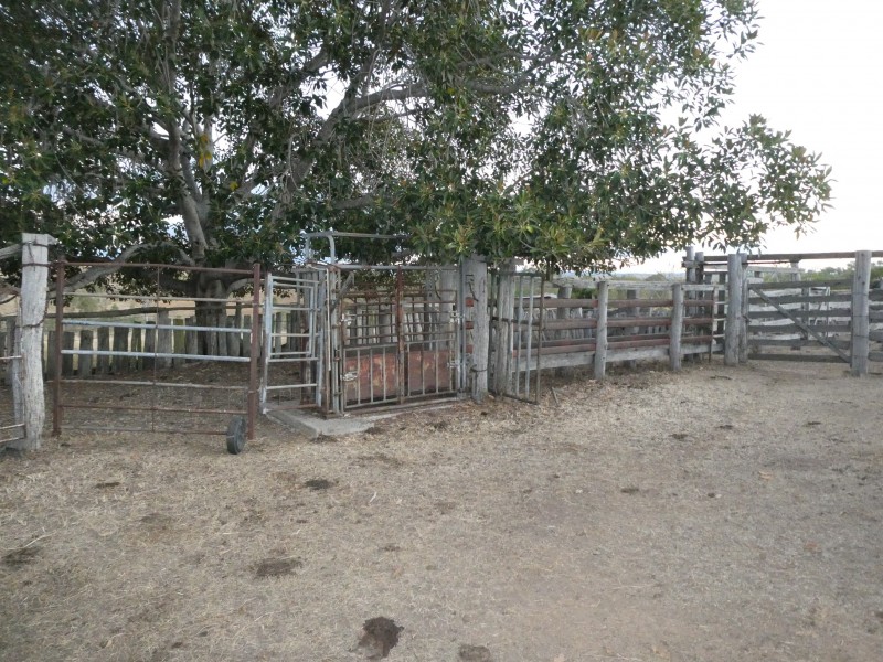 325 CHRISTENSENS ROAD, Gooroolba QLD 4625