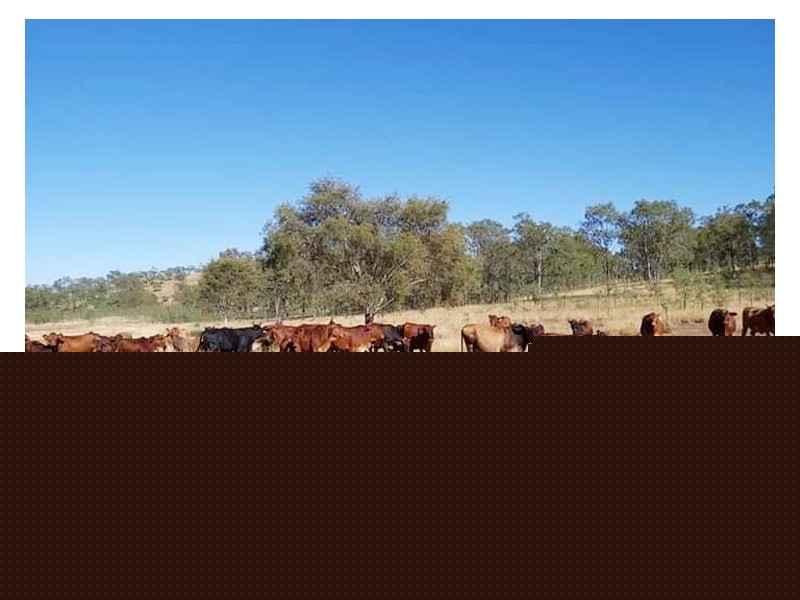 325 CHRISTENSENS ROAD, Gooroolba QLD 4625