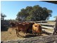 325 CHRISTENSENS ROAD, Gooroolba QLD 4625