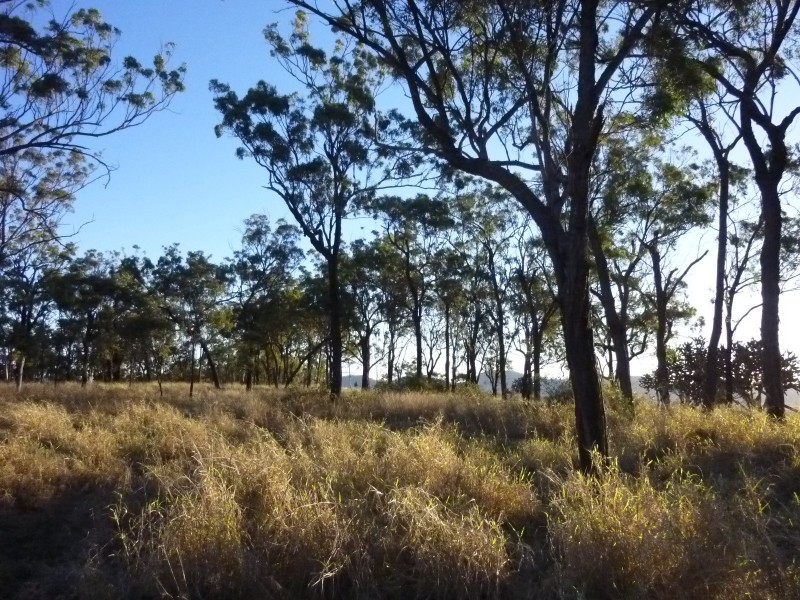Coalstoun Lakes QLD 4621