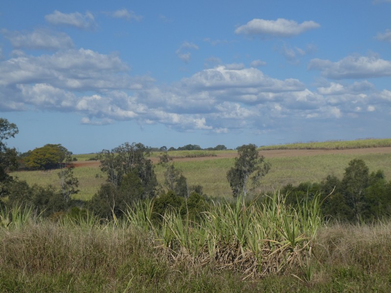 32 FRAMPTONS ROAD, North Isis QLD 4660