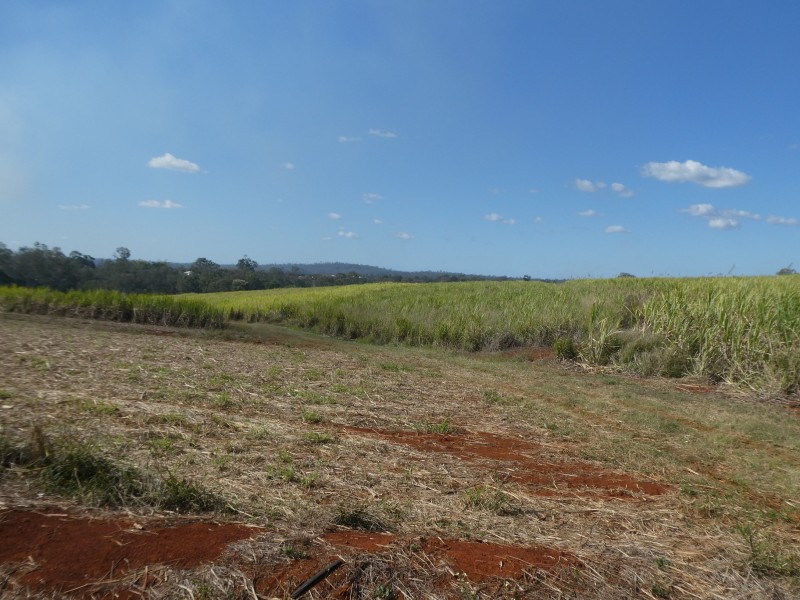 32 FRAMPTONS ROAD, North Isis QLD 4660