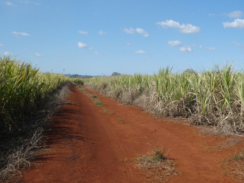 32 FRAMPTONS ROAD, North Isis QLD 4660