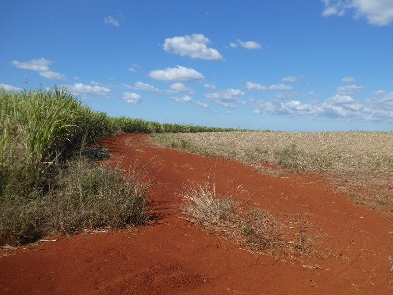 32 FRAMPTONS ROAD, North Isis QLD 4660