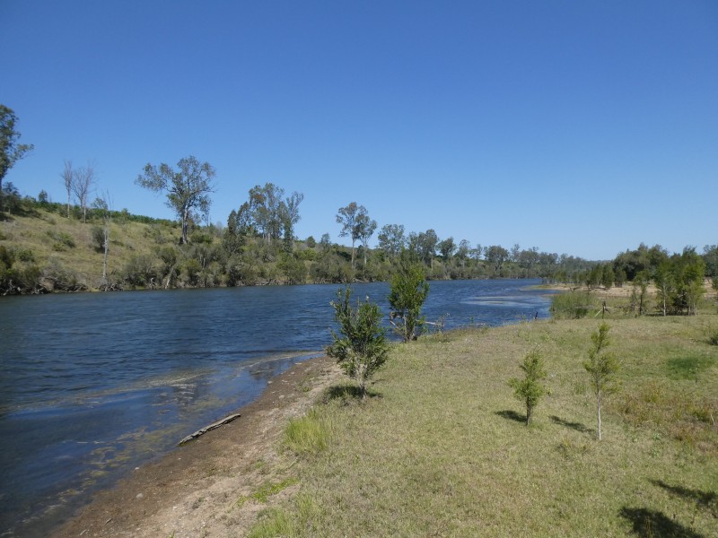 125 BURNETT VALE LANE, Good Night QLD 4671