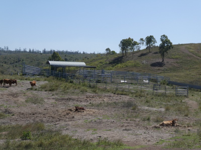 125 BURNETT VALE LANE, Good Night QLD 4671