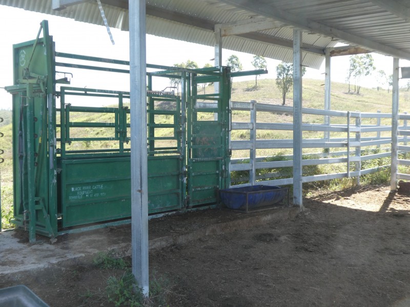 125 BURNETT VALE LANE, Good Night QLD 4671