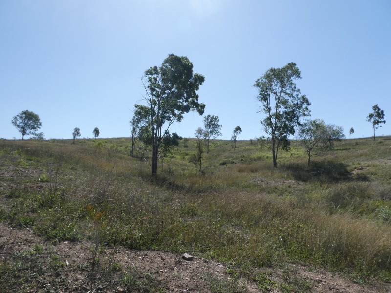 125 BURNETT VALE LANE, Good Night QLD 4671