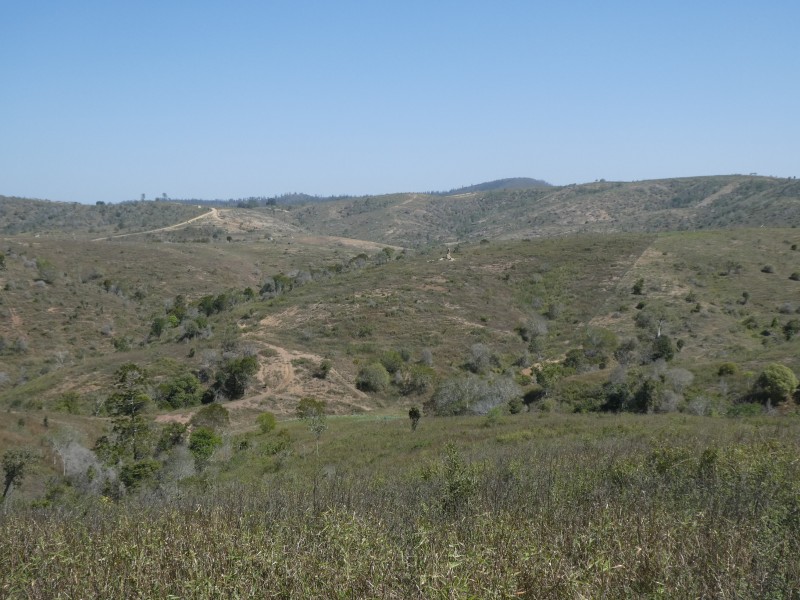 125 BURNETT VALE LANE, Good Night QLD 4671