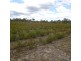 149 Buxton Road, Buxton QLD 4660