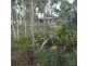 149 Buxton Road, Buxton QLD 4660