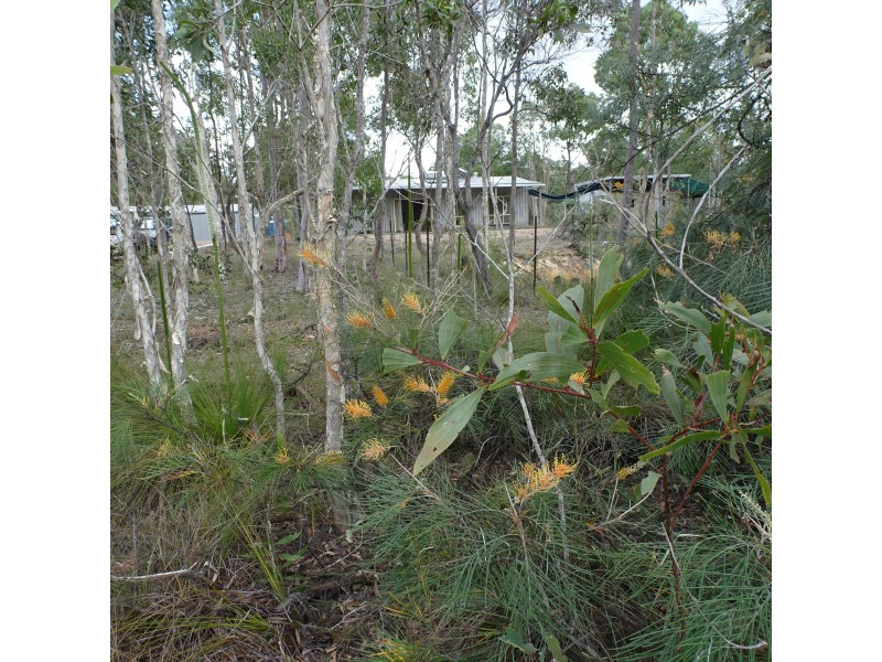 149 Buxton Road, Buxton QLD 4660