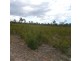 149 Buxton Road, Buxton QLD 4660