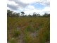 149 Buxton Road, Buxton QLD 4660